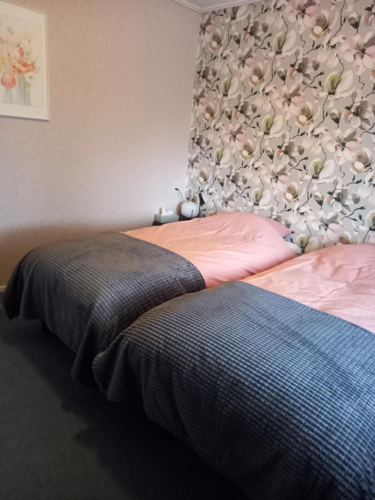 B&B Kleintje Eleveld Eksteriør bilde